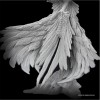 ELEGOO 8K Standart Fotopolimer Reçine Wihite Smoky 1kg